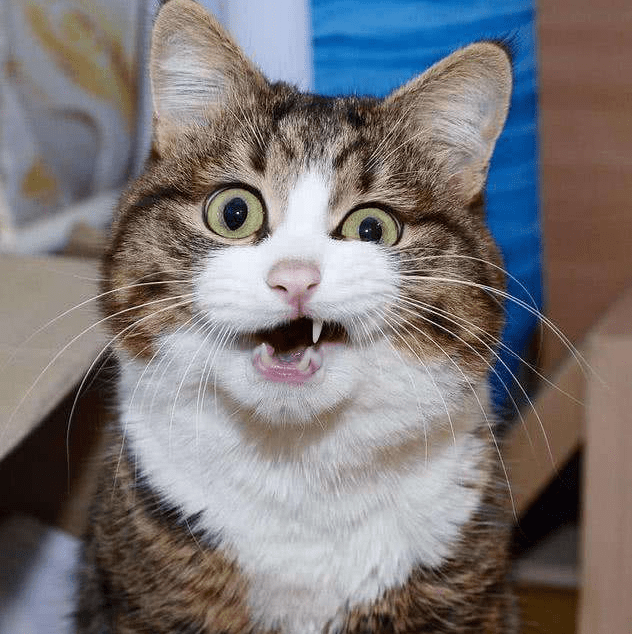3e0443e222564bc4963323b54bd6014d.png