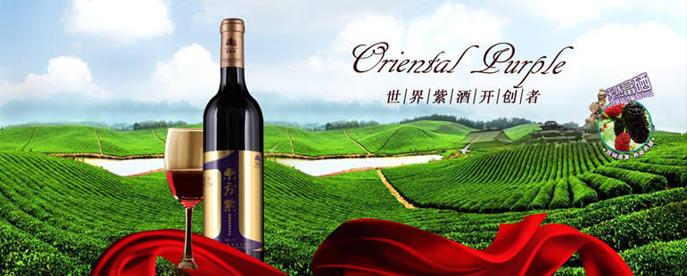 从现货交易再到原始股骗局 东方紫为何遭代理商