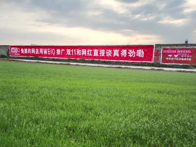 红人|WEIQ刷屏背后：是中小企业与红人的破壁