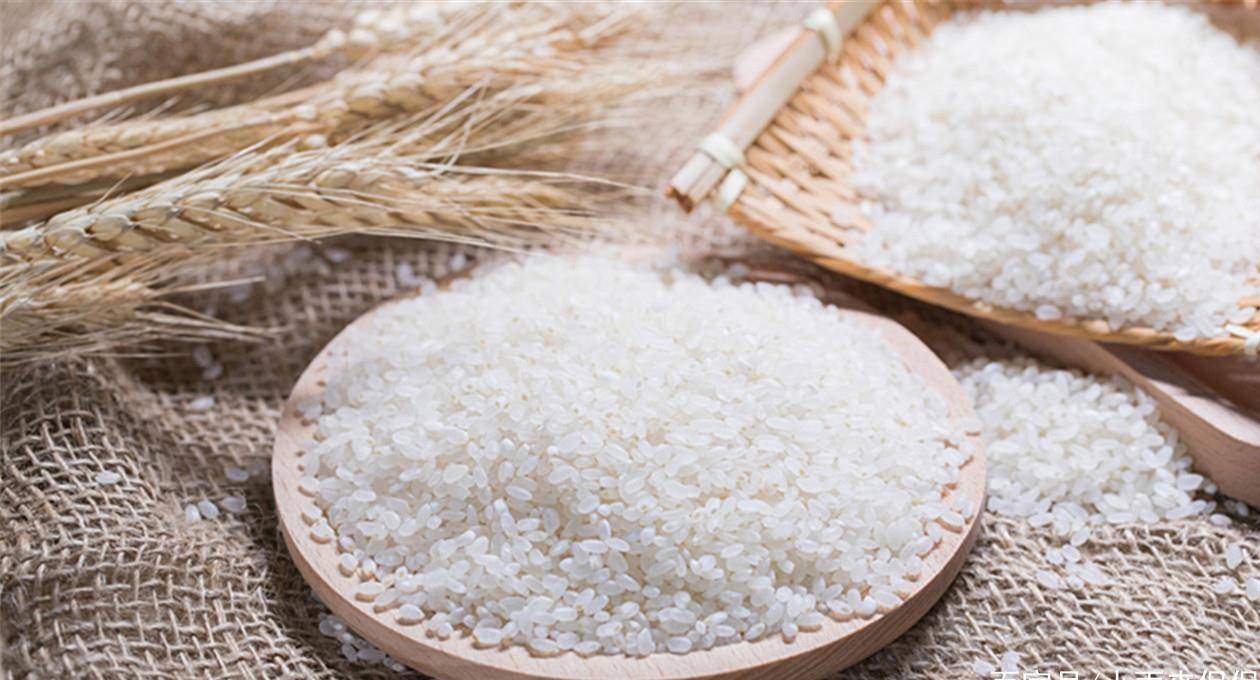 什么大米不能吃 3710a071e16c494dae61d02b06d845e8.jpeg