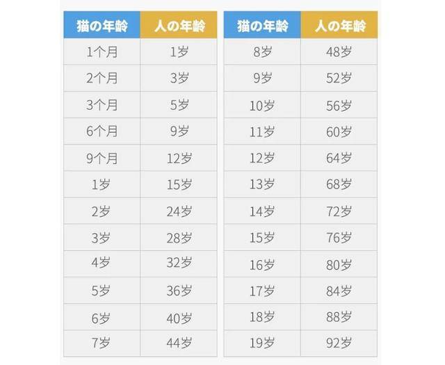 猫咪1岁=人7岁,是上世纪的算法,附上最新年龄对照表!
