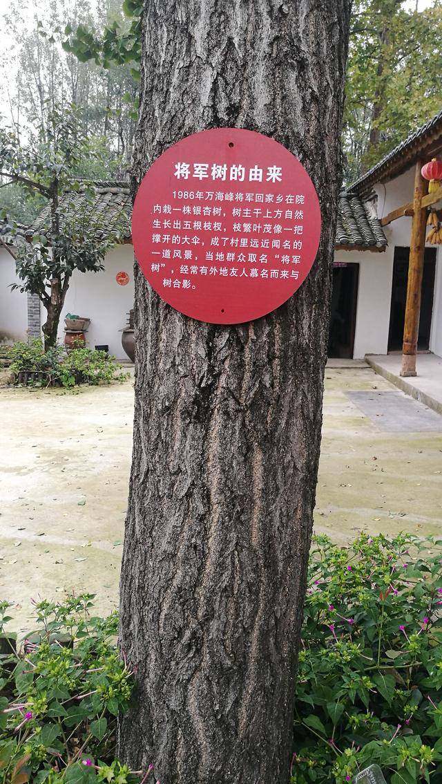 将军|至今健在的百岁上将，老家人无偿捐献自己的房子，作他事迹陈列馆