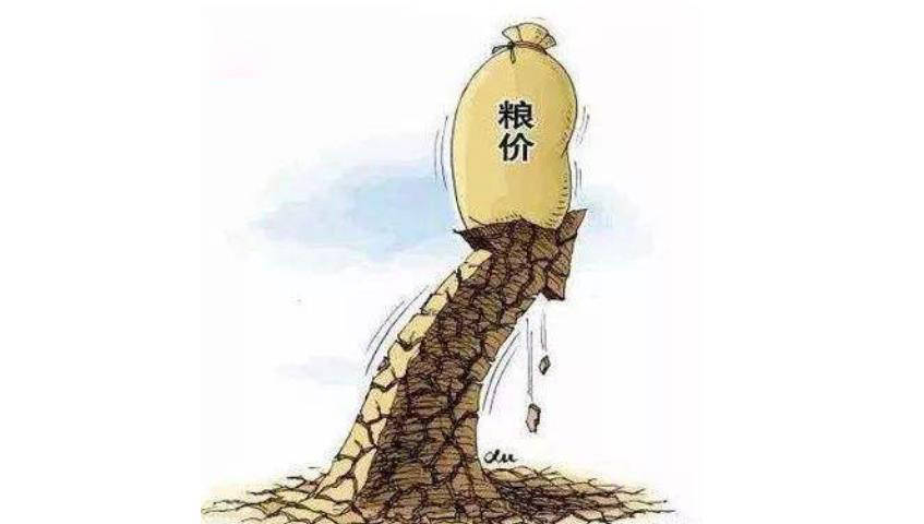 人口粮食比(2)