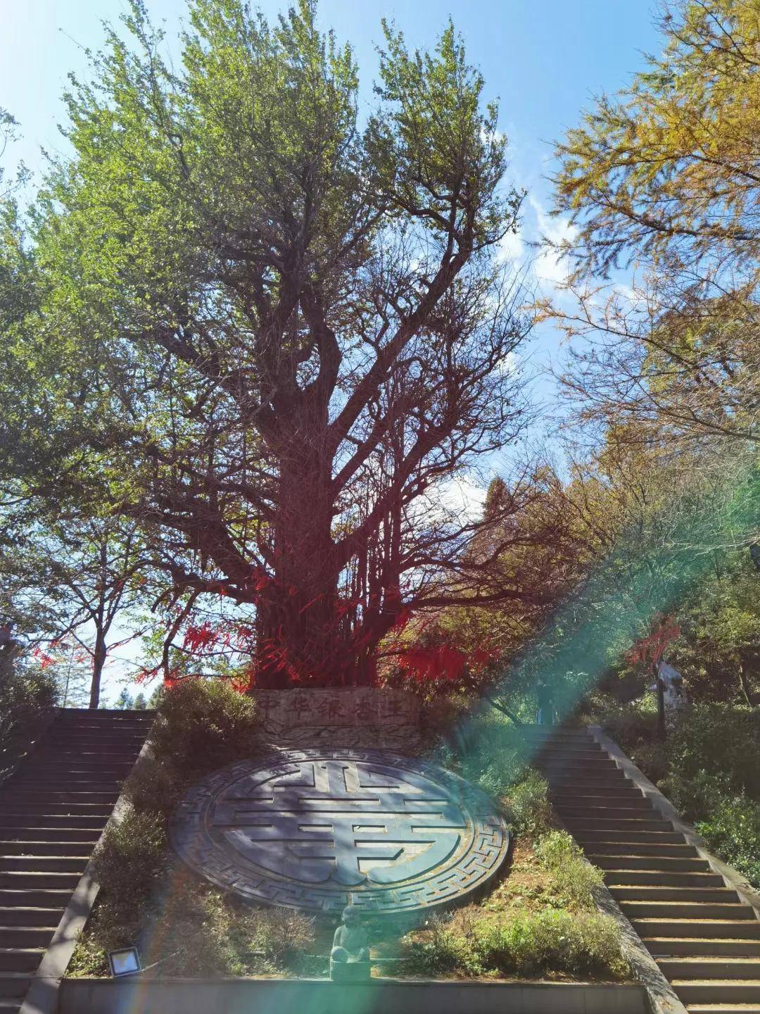 大熊山|蚩尤故里 天然氧吧 | 邂逅大熊山,聆听蚩尤与春姬的爱情故事