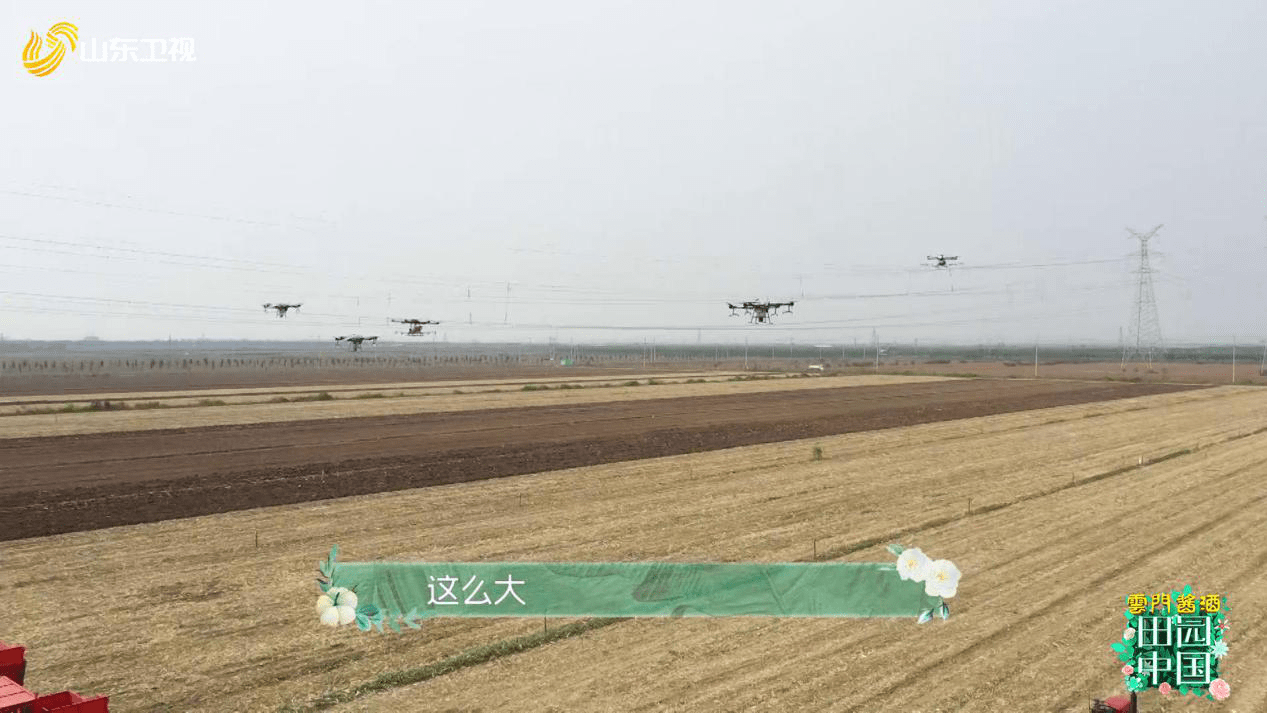 《田园中国》来喜王晓龙路边尝鲜 柳疃老人年薪10万悠哉养鸟
