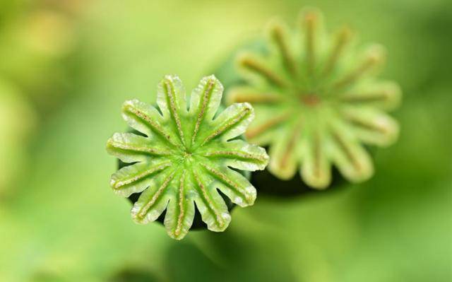 10月30號-11月12號得財神爺關照，財運逆襲，事業興旺發達3大生肖 星座 第1張