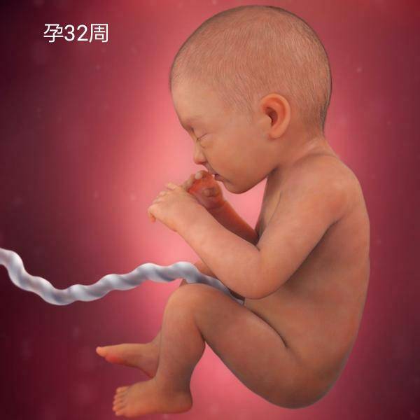 几个月胎儿猛涨期 273d3243de8440dc8740f82e0b28bef4.jpeg