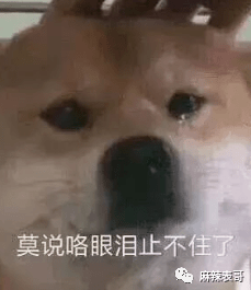 曲婉婷|爸妈老赖,周震南却戴60万手表,这是男版曲婉婷?