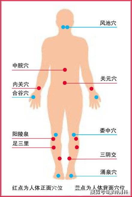 人体十大养生穴