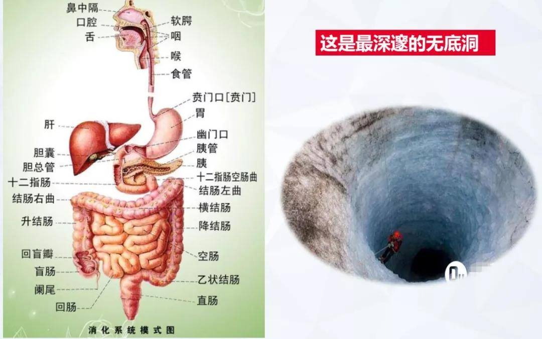 成语什么肺肠_成语故事简笔画(3)