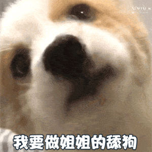 眼睛|300亿纯天然公主“下嫁”3年,40岁生两女还艳压无数小花