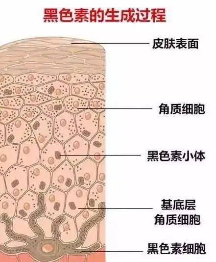 心机|娜扎为艳压暴露心机？却还是败给二字低调女星...