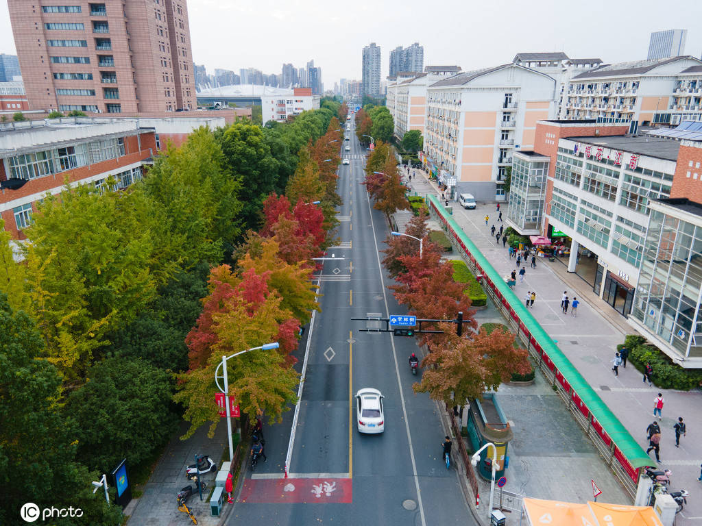 杭州下沙学林街颜值爆表,道路两旁枫叶染红,景色如画.