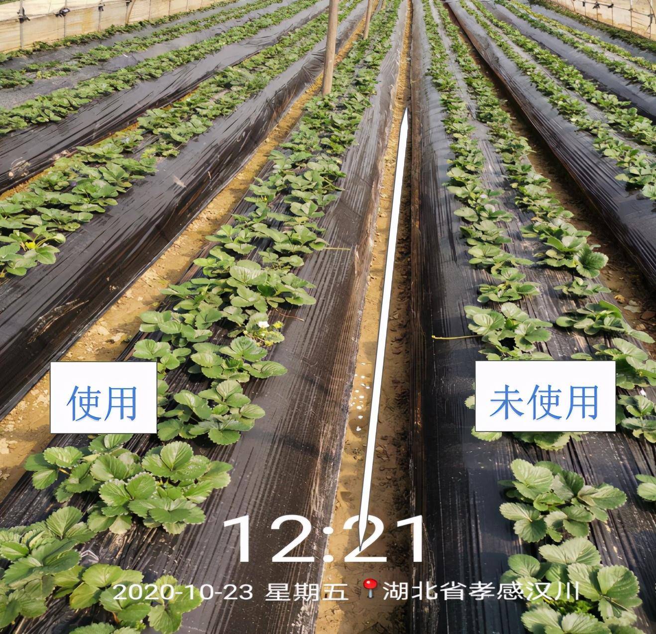 5b26cae8b311456e8b79d1cb87b58e8f.jpeg