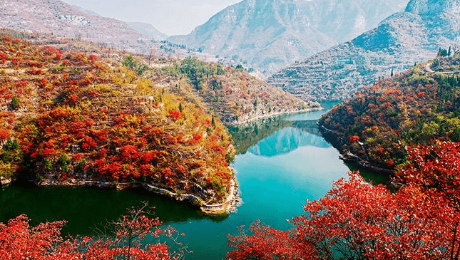 秋季到青天河，登高望远赏尽漫山红叶！_靳家岭