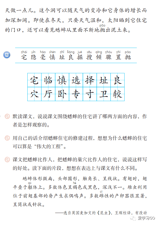 部编版四年级上册语文第11课《蟋蟀的住宅》知识点,课文朗读,图文解读