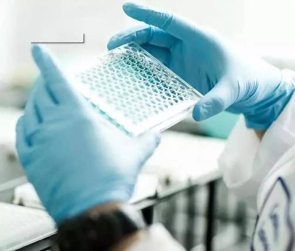 专业|不考研本科毕业难找工作的13个专业，现在后悔还来得及吗？