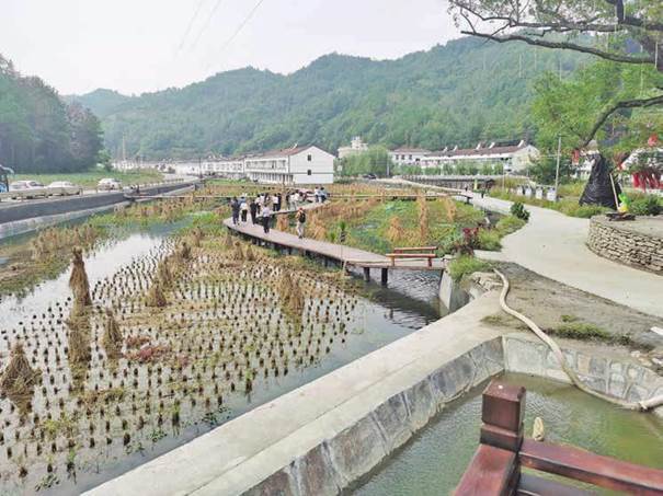 洛川县高塘有多少人口_洛川县农村厕所改造