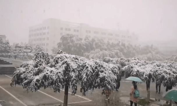 2020年兰州所有大学_招聘快讯兰州财经大学2020年公开招聘工作人员