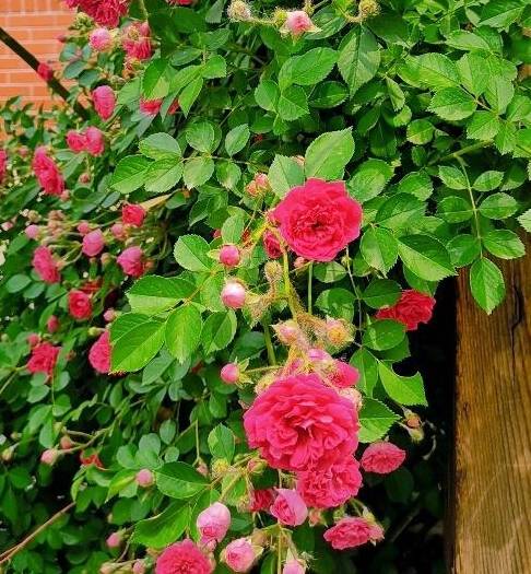 1f9b263ebd6745318f7a568235834f10.jpeg