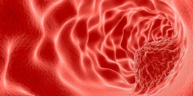 什么是恶性肿瘤细胞 679a8cae2ae94712a22cb068e71b3bd7.jpeg