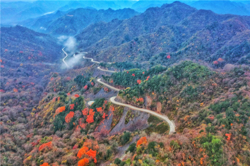 秦岭秘境自驾游，陕西这个小县城，山岭陡峭，藏着中国最美的秋天_留坝