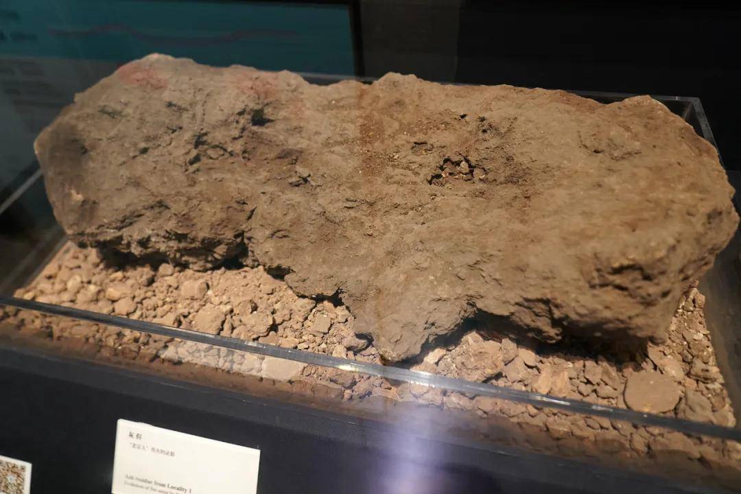 头盖骨|北京西南郊小山包 为何成为世界文化遗产