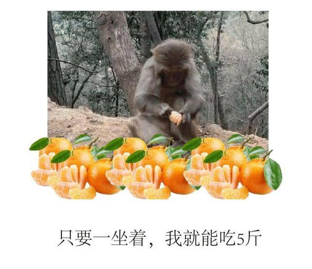 caba21a1eb554112bc9c9b63cc327590.jpeg