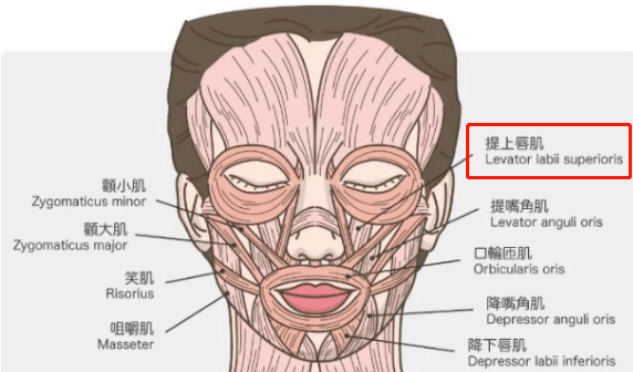 黄多多|黄磊女儿这法令纹，怕是要走杨紫老路？