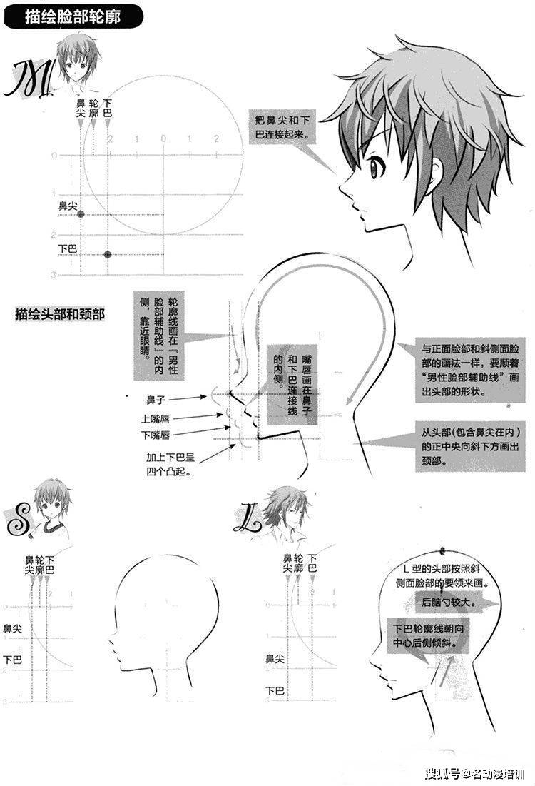 正侧面脸部实例如下图,s型人物脸部被头发遮住,额头较宽,鼻子较低