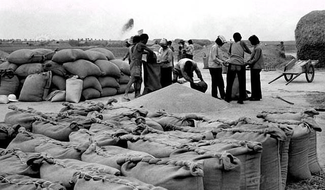 什么时候才不交公粮 fda5278c55034ac89c3fc1c245679810.png