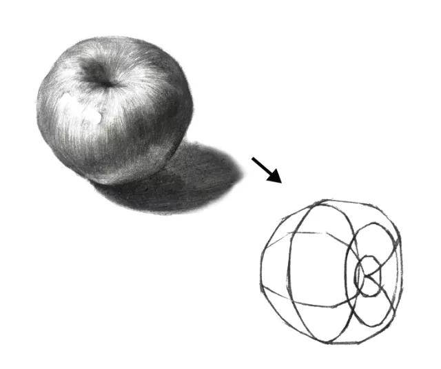 ③理解苹果调子的排线方向,在绘画物体亮部的时候,要注意亮部的排线