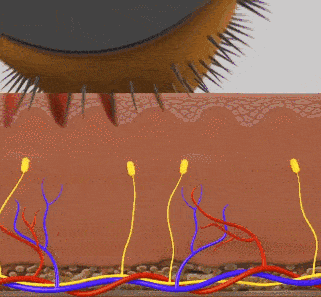 老脸|金晨谈恋爱也太尴尬了！节目组卖力撮合个寂寞……这张不老脸就能胡作非为吗？