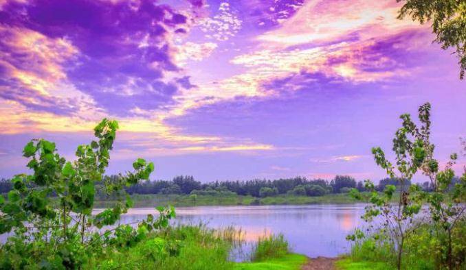 2020年马鞍山一模排名_2020第四季完美童模马鞍山赛区直通赛圆满落幕