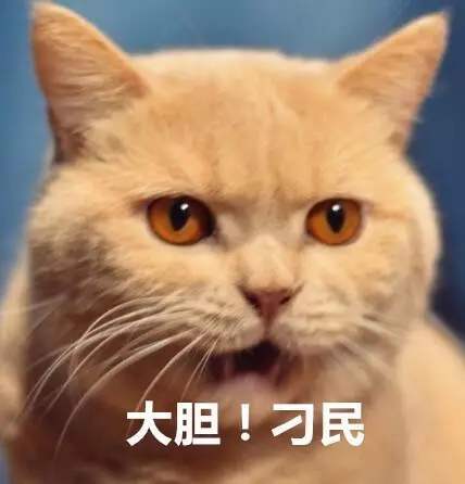 9c963275f1c04889b3d6437d70e59b53.jpeg