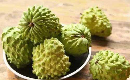 佛手瓜功效与作用及食用方法 5d6df745634c4823bec9ab5afda91b4e.jpeg