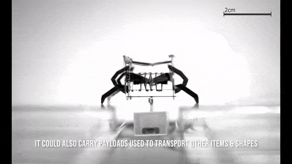 安装有微型夹爪的机器人抓取展示