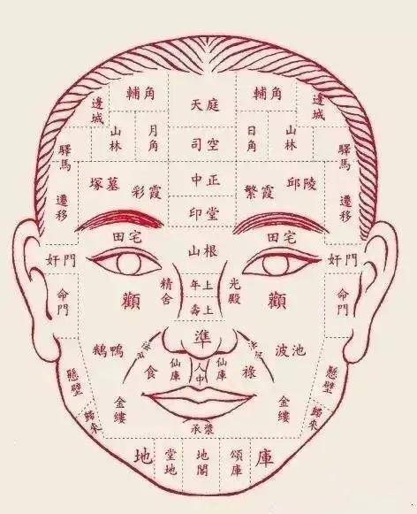 将人的面部划分为不同的区域,脏腑与其对应位置分别是:额为头面;头面