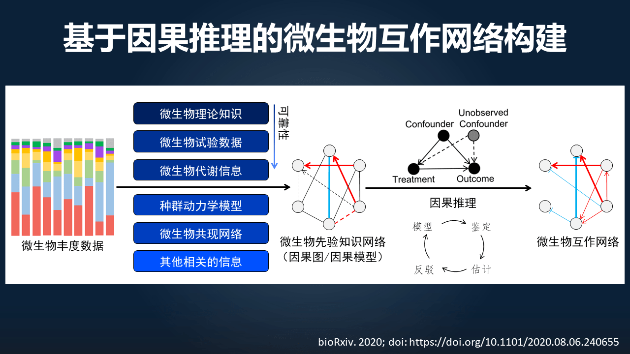 朱瑞新|朱瑞新：12分钟讲透如何迈向因果并精准干预菌群