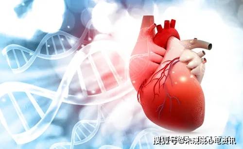 什么原因会引起心脏破裂 445a6089e1d548ffb1e78729932c24c4.jpeg