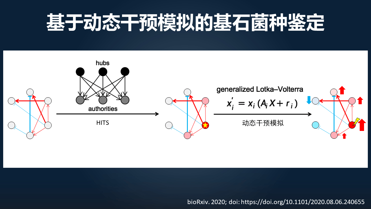 朱瑞新|朱瑞新：12分钟讲透如何迈向因果并精准干预菌群