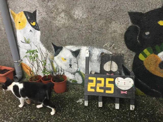 猴子和猫在火旁边猜成语_看图猜成语(2)