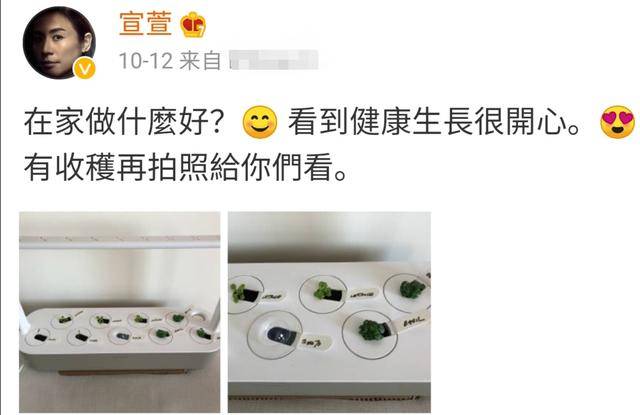 50岁宣萱独自采购花不到300,仅8个月火辣身材已不复