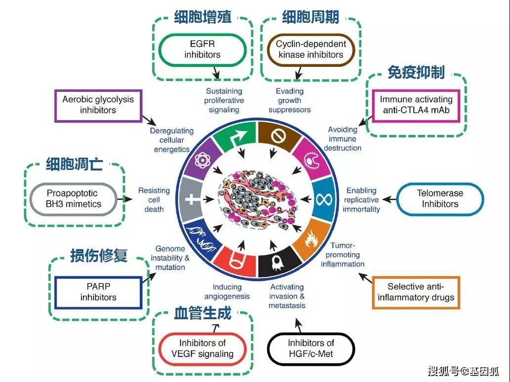 健康科普:如何正确认识癌症的靶向治疗