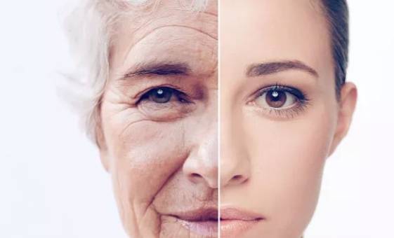 三十岁以上未生育女性 26a6146c4c904598be869da83d90081f.jpeg