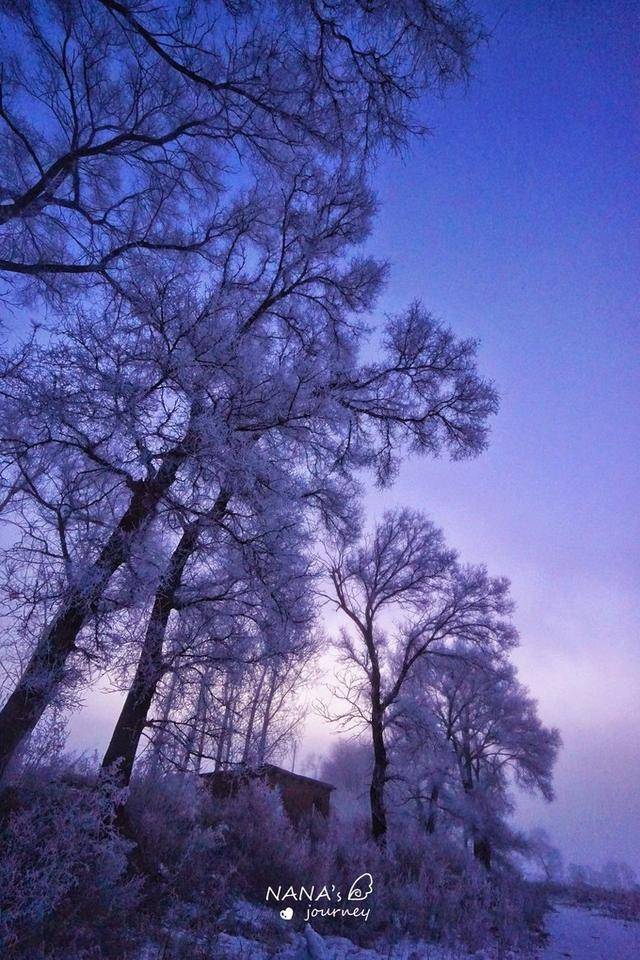 欧若拉般的北国村庄，有雾凇奇景，是冬日必打卡的旅游胜地_美景