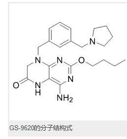 显示|乙肝在研新药GS9620，显示持久抑制，但cccDNA未下降