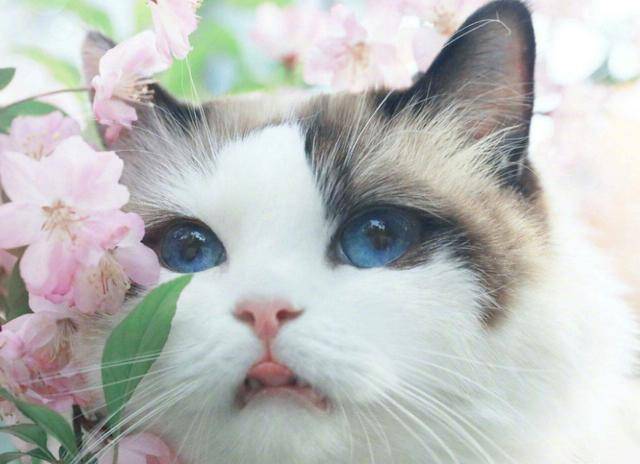 44cc0b6248b140fd854fcc8feda8934f.jpeg