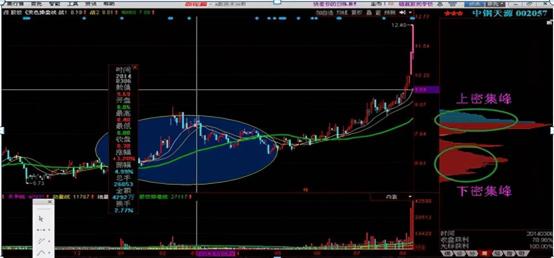 丁真走红后带动GDP_丁真走红(3)