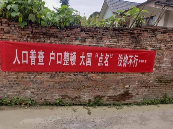 第七次人口普查见人就登_第七次人口普查图片
